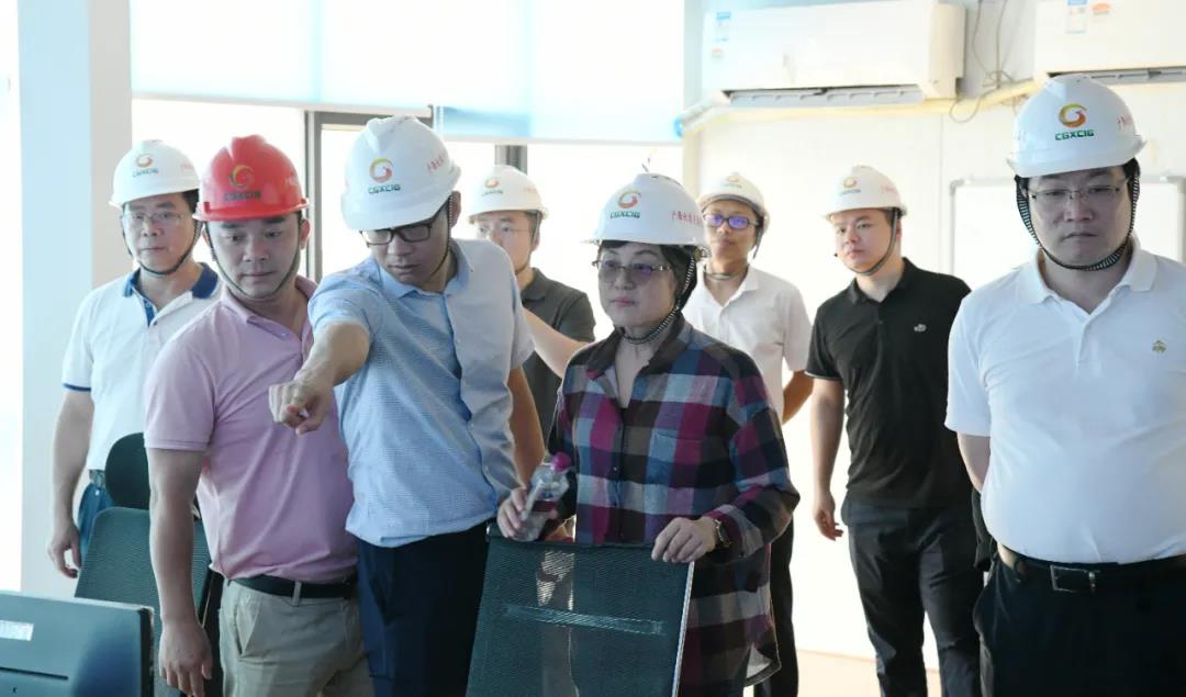 集团公司党委委员、总会计师胡芳到高速... 